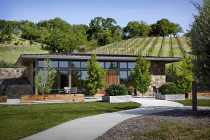 Saracina Vineyards